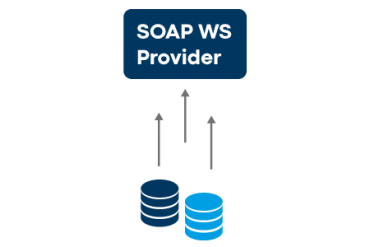 SOAP Provider